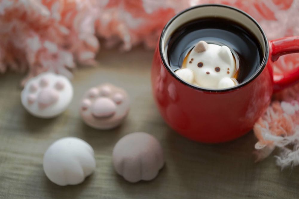 Photo attribution: Photo courtesy of http://www.mymodernmet.com/profiles/blogs/adorable-marshmallow-cats-float-inside-coffee-cups