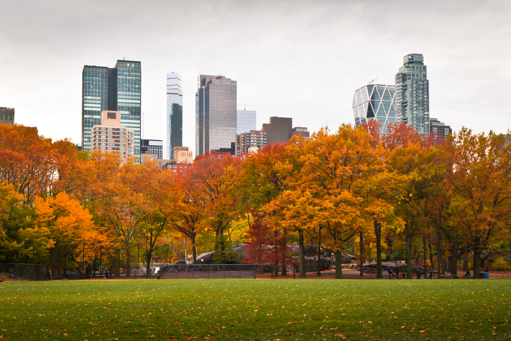 Body - NYC in Fall