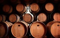 Unexpected Cities in the U.S. with Incredible Vineyards