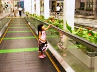 Air Travel with Kids: Do You Have What it Takes?