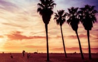 Sister Cities Los Angeles and Vancouver: A Golden Set
