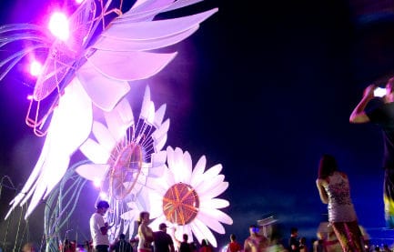 Everything You Need to Know About EDC 2015