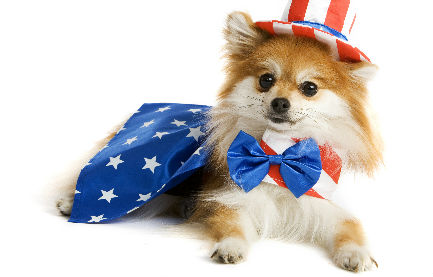 Pets In Travel – Patriotism