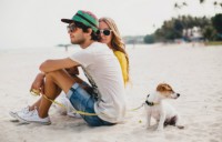 Budget Travel With Your Pet